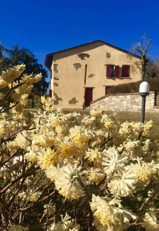 Rosy25 Otel San Michele  Dış mekan fotoğraf